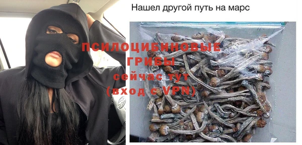 эйфоретик Алексин